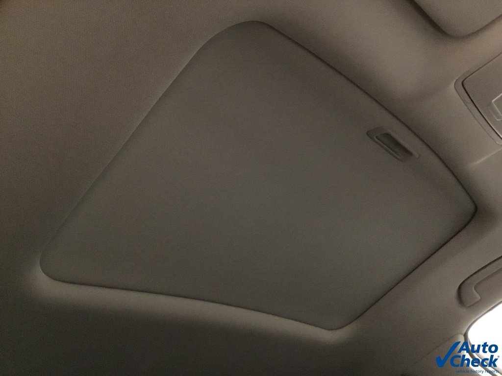 View 41